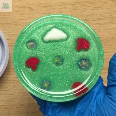 Resin-Tutorial-Cottagecore-Resin-Coaster The Crafts and Glitter Shop