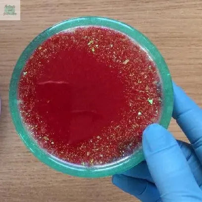 Resin-Tutorial-Watermelon-Coaster The Crafts and Glitter Shop