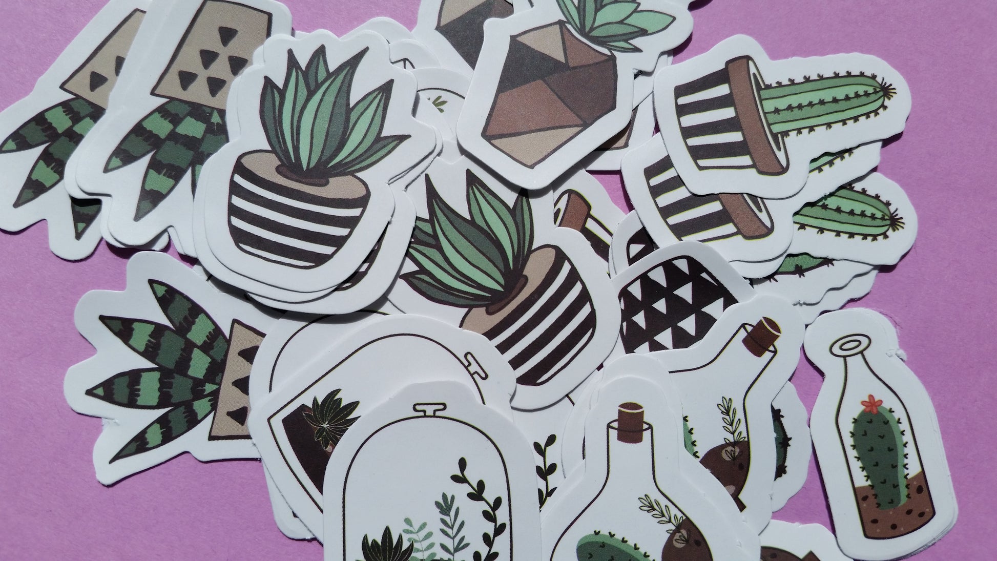 Succulent Plants Sticker Flakes - 40 pieces - The Crafts and Glitter Shop