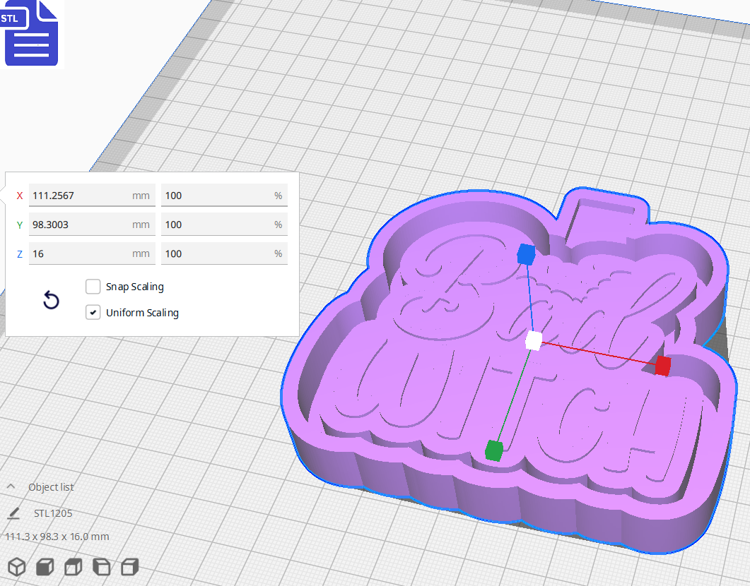 Bad Witch Mold Housing STL File