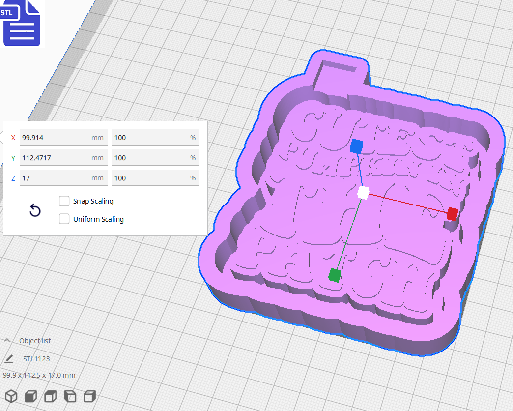 Cutest Pumpkin in the Patch Silicone Mold Housing STL File