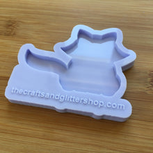 Load image into Gallery viewer, 2.7&quot; Raccoon Silicone Mold