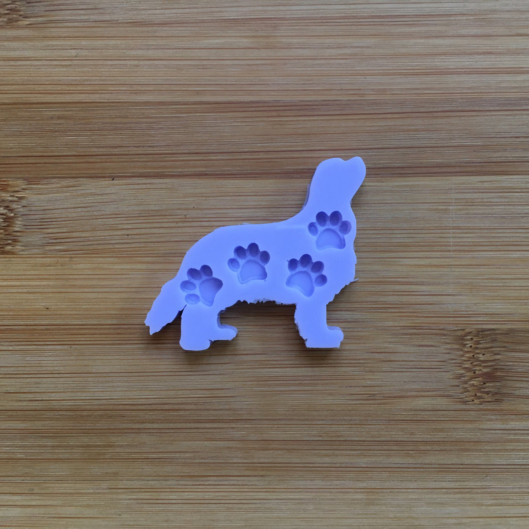 1 cm Paw Silicone Mold