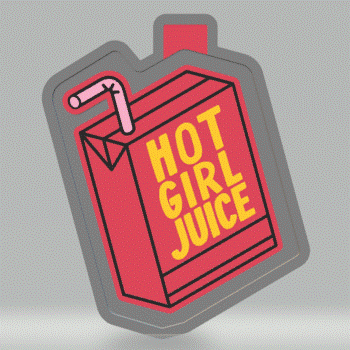 Hot Girl Juice Silicone Mold Housing STL File - The Crafts and Glitter Shop