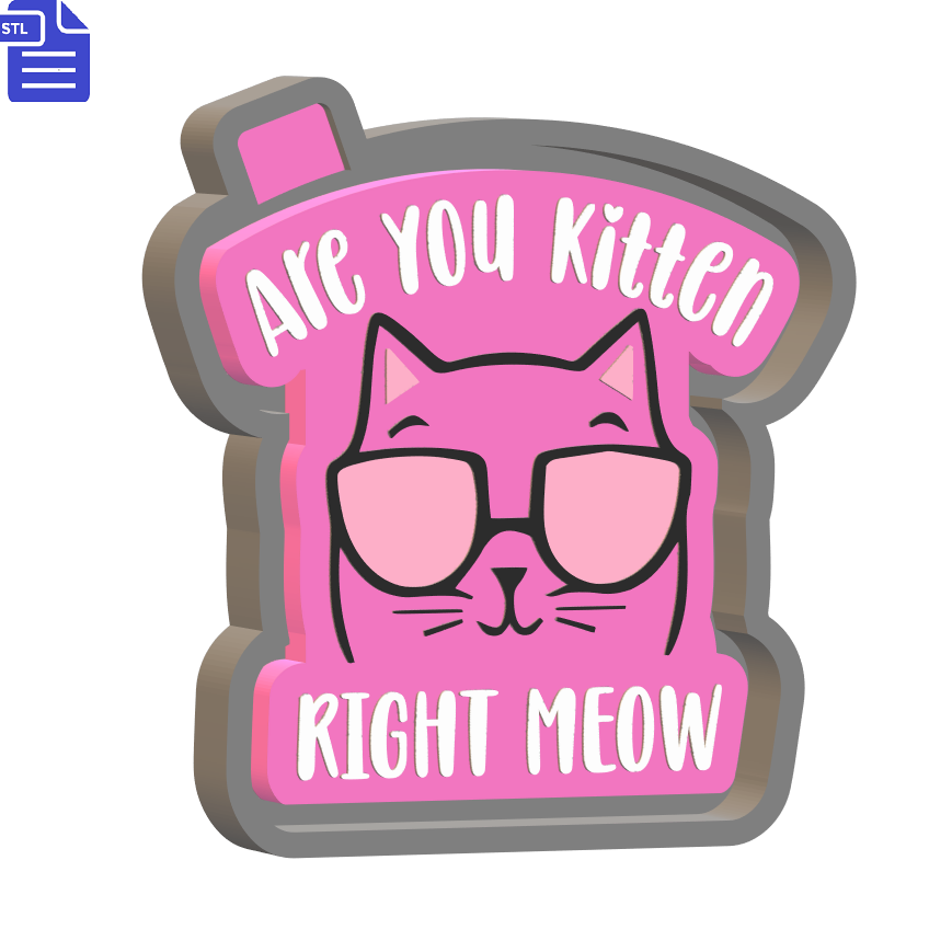 Are You Kitten Silicone Mold Housing STL File - The Crafts and Glitter Shop
