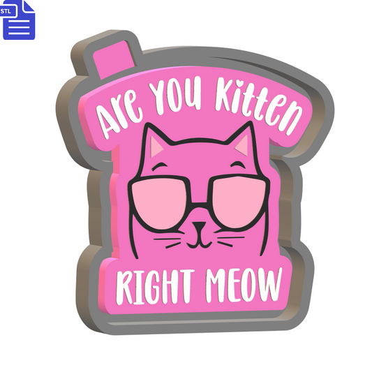 Are You Kitten Silicone Mold Housing STL File - The Crafts and Glitter Shop