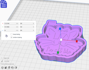 I'm Not Lazy Silicone Mold Housing STL File