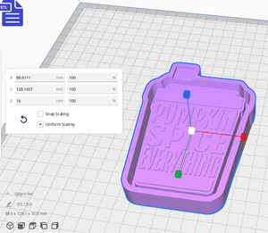 Pumpkin Spice Everything Silicone Mold Housing STL File