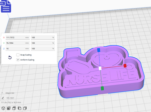 Nurse Life Silicone Mold Housing STL File