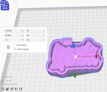 Load image into Gallery viewer, Fireworks &amp; Freedom Silicone Mold Housing STL File