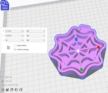 Load image into Gallery viewer, Cobweb Silicone Mold Housing STL File