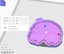 Load image into Gallery viewer, Stay Spooky Silicone Mold Housing STL File