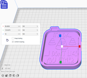 I Don't Like You Silicone Mold Housing STL File