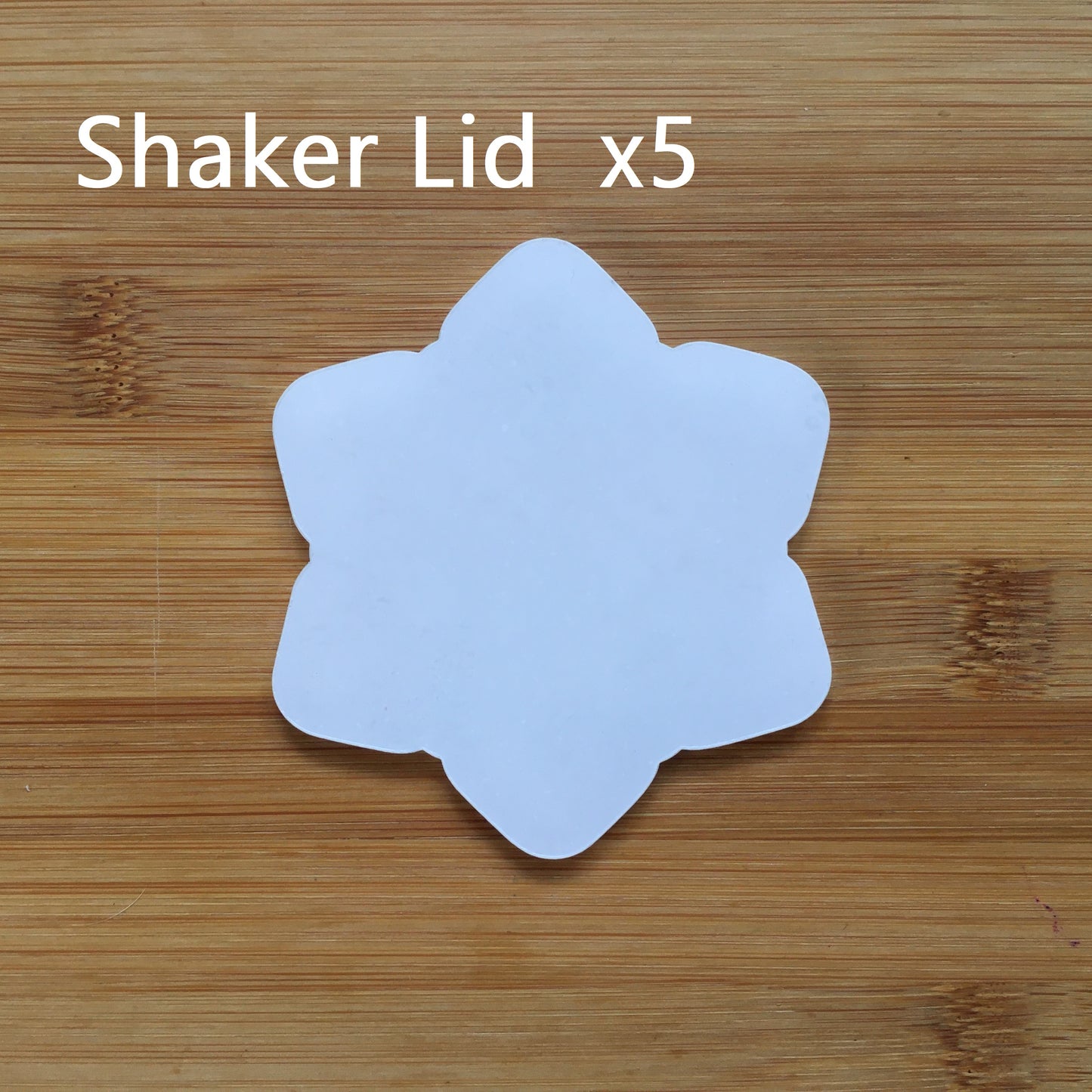 Snowflake Shaker Silicone Mold