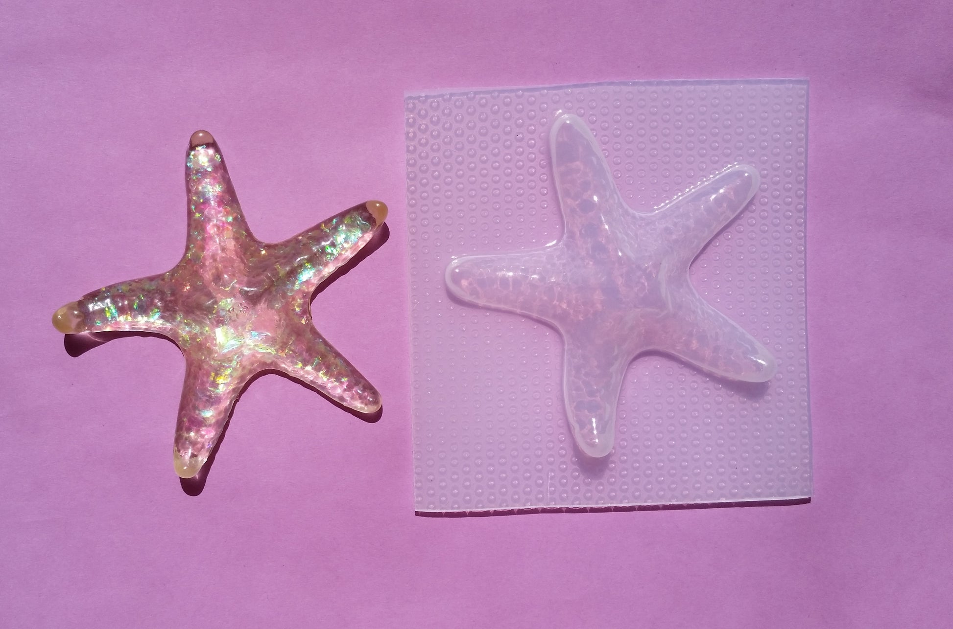 Starfish Plastic Mold