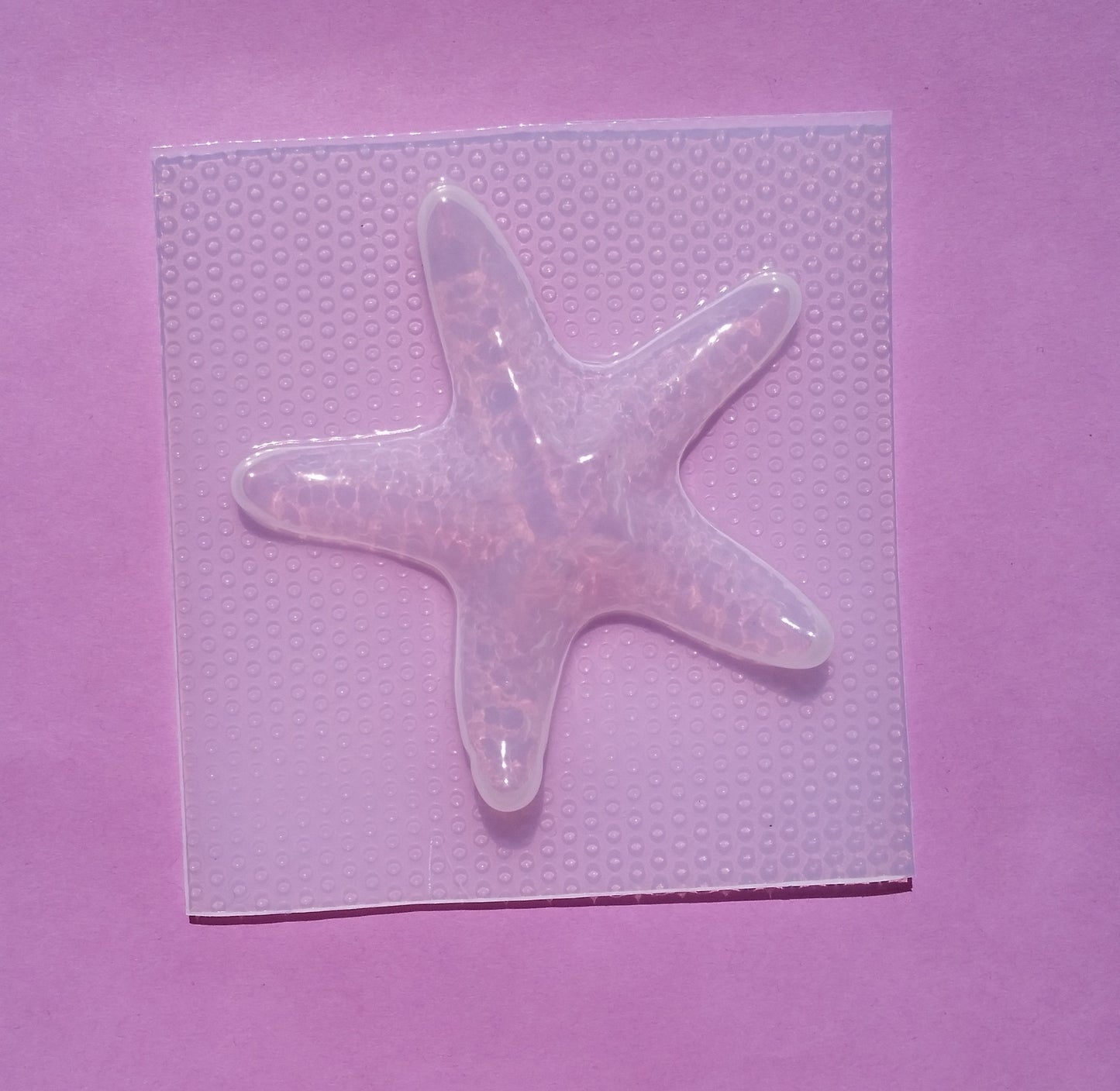 Starfish Plastic Mold