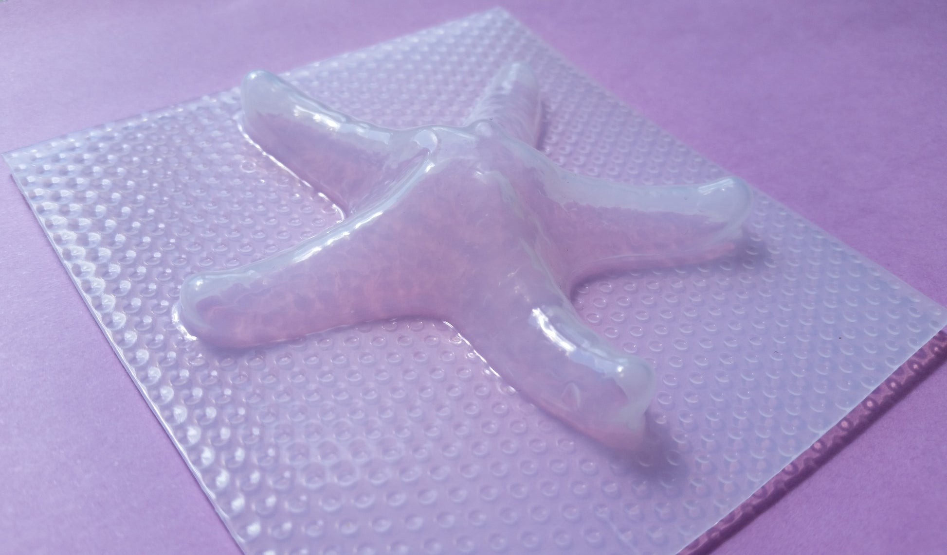 Starfish Plastic Mold