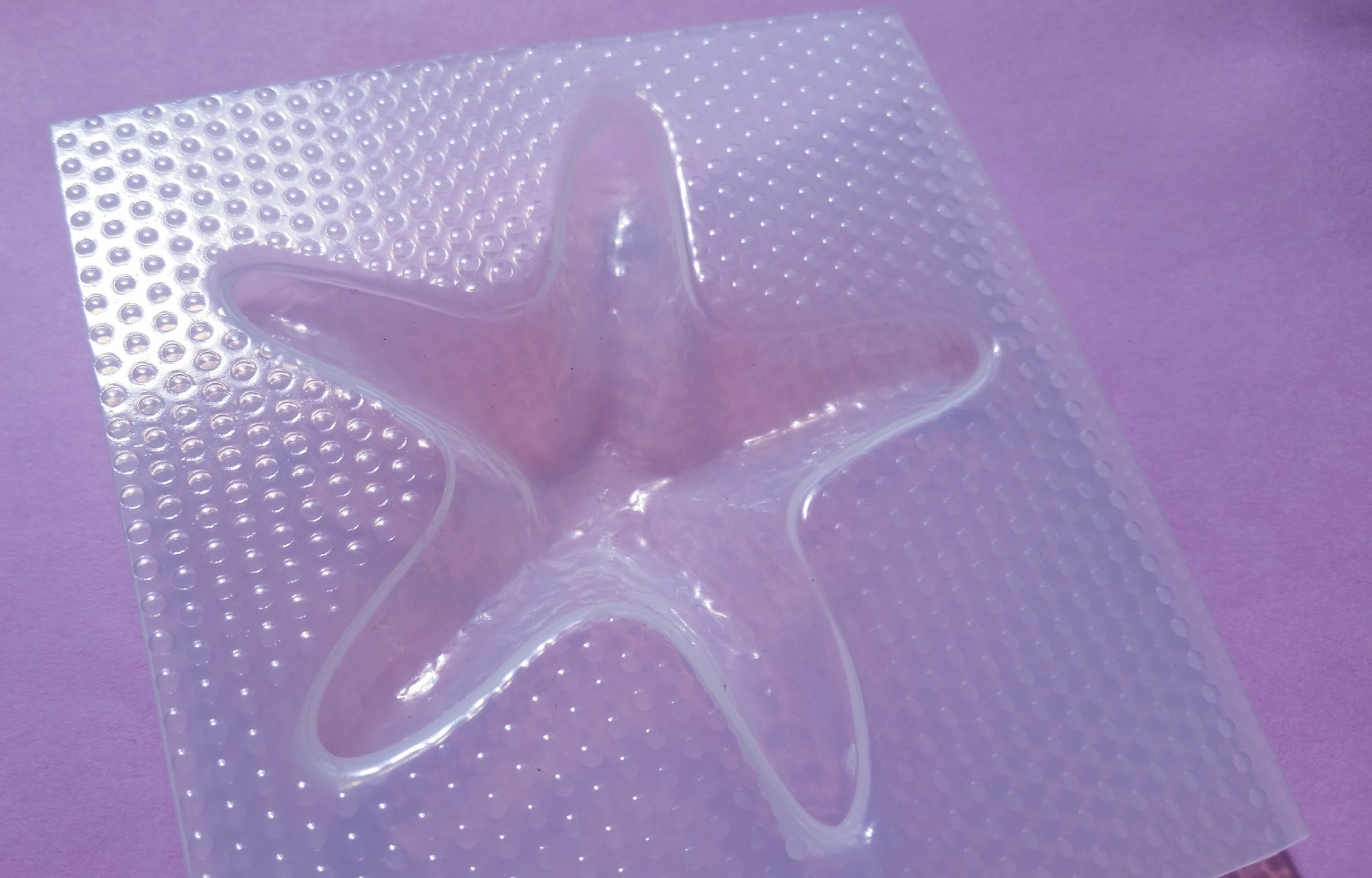 Starfish Plastic Mold