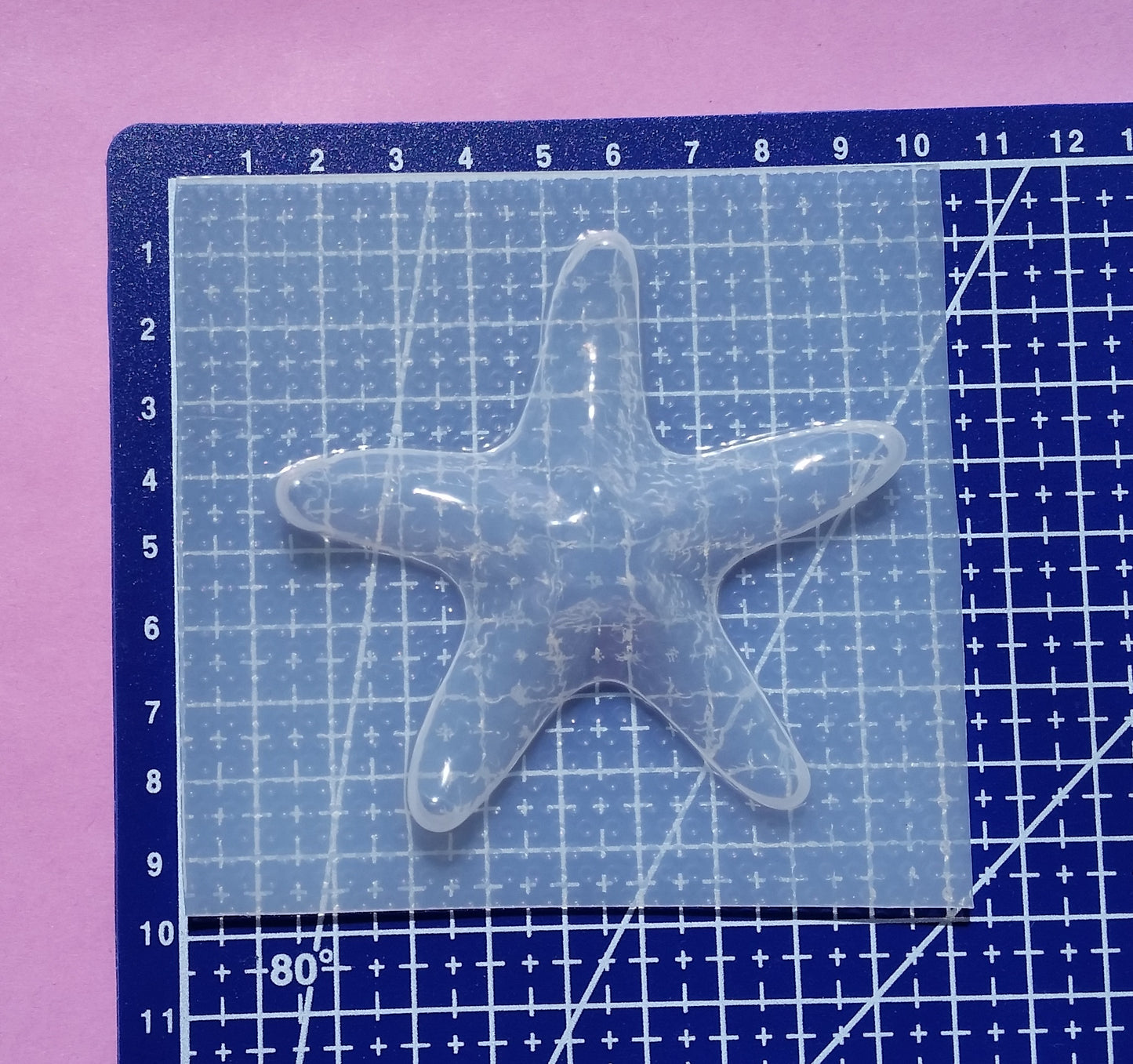 Starfish Plastic Mold