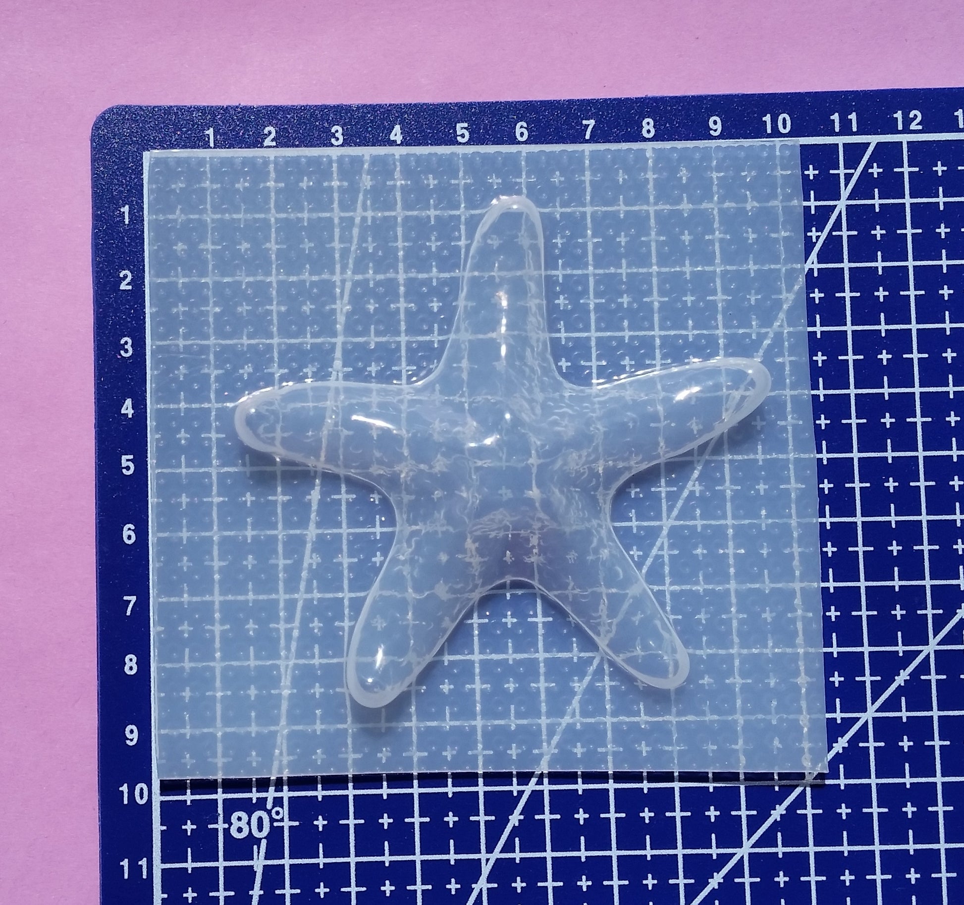 Starfish Plastic Mold