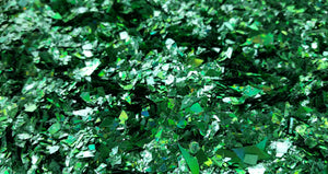 Holographic Green Cellophane Glitter Flakes