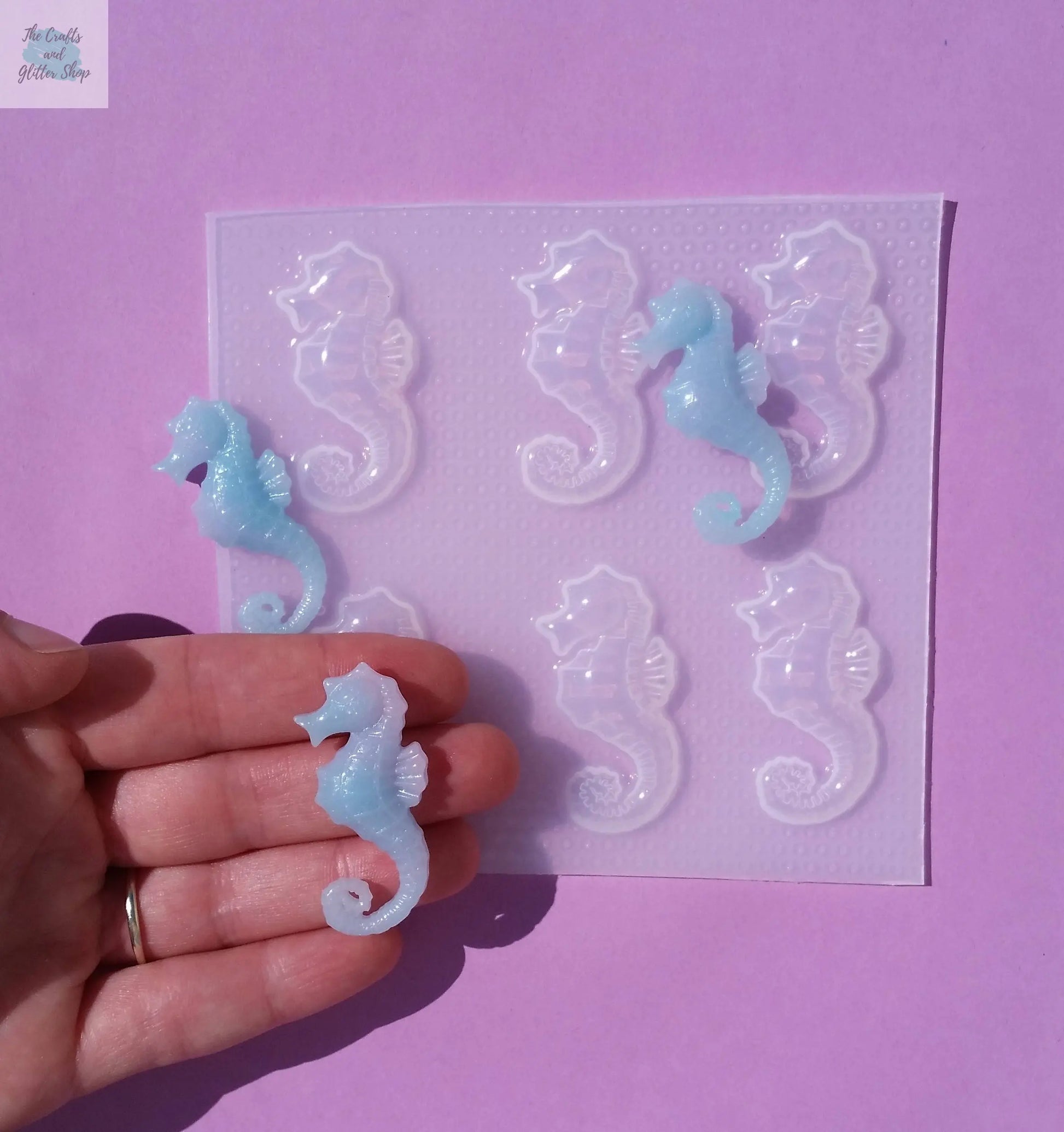 1.6" Realistic Sea horse Plastic Mold The Crafts and Glitter Shop