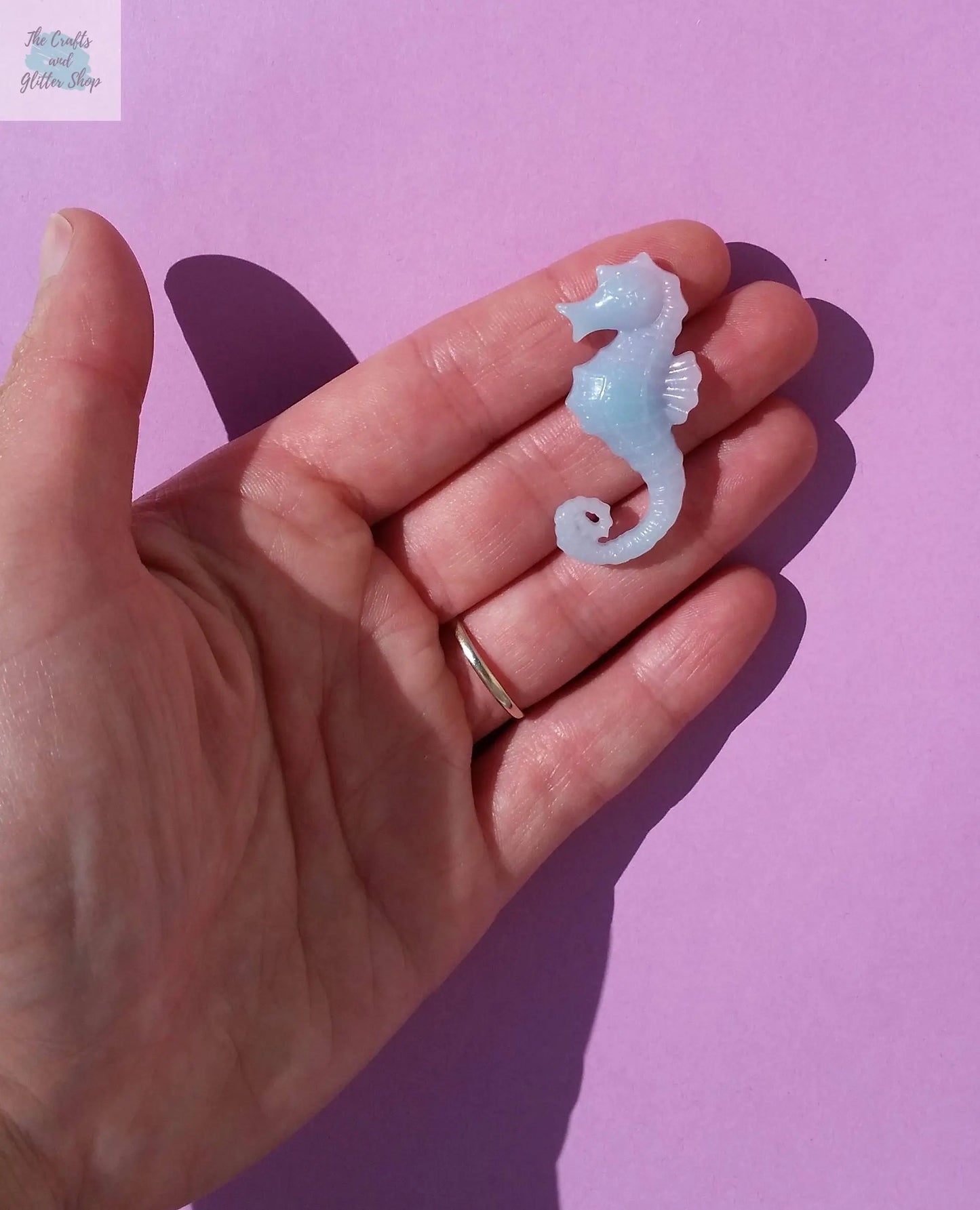1.6" Realistic Sea horse Plastic Mold The Crafts and Glitter Shop