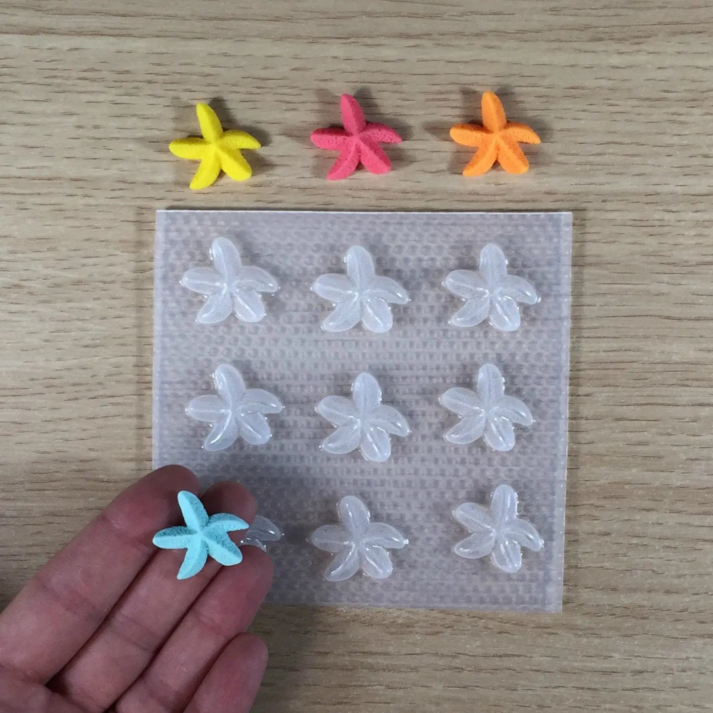 21mm Starfish Plastic Mold The Crafts and Glitter Shop