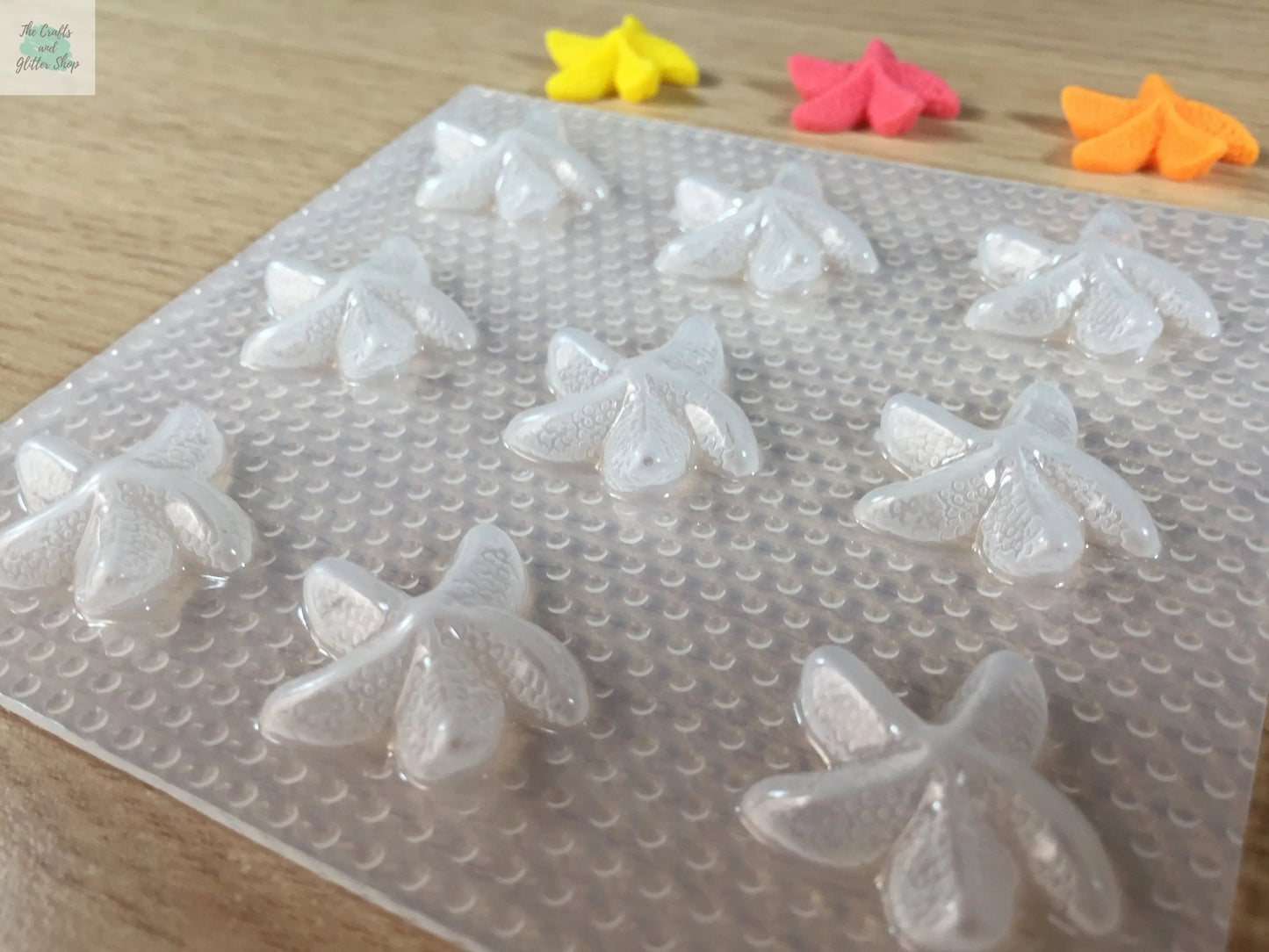 21mm Starfish Plastic Mold The Crafts and Glitter Shop