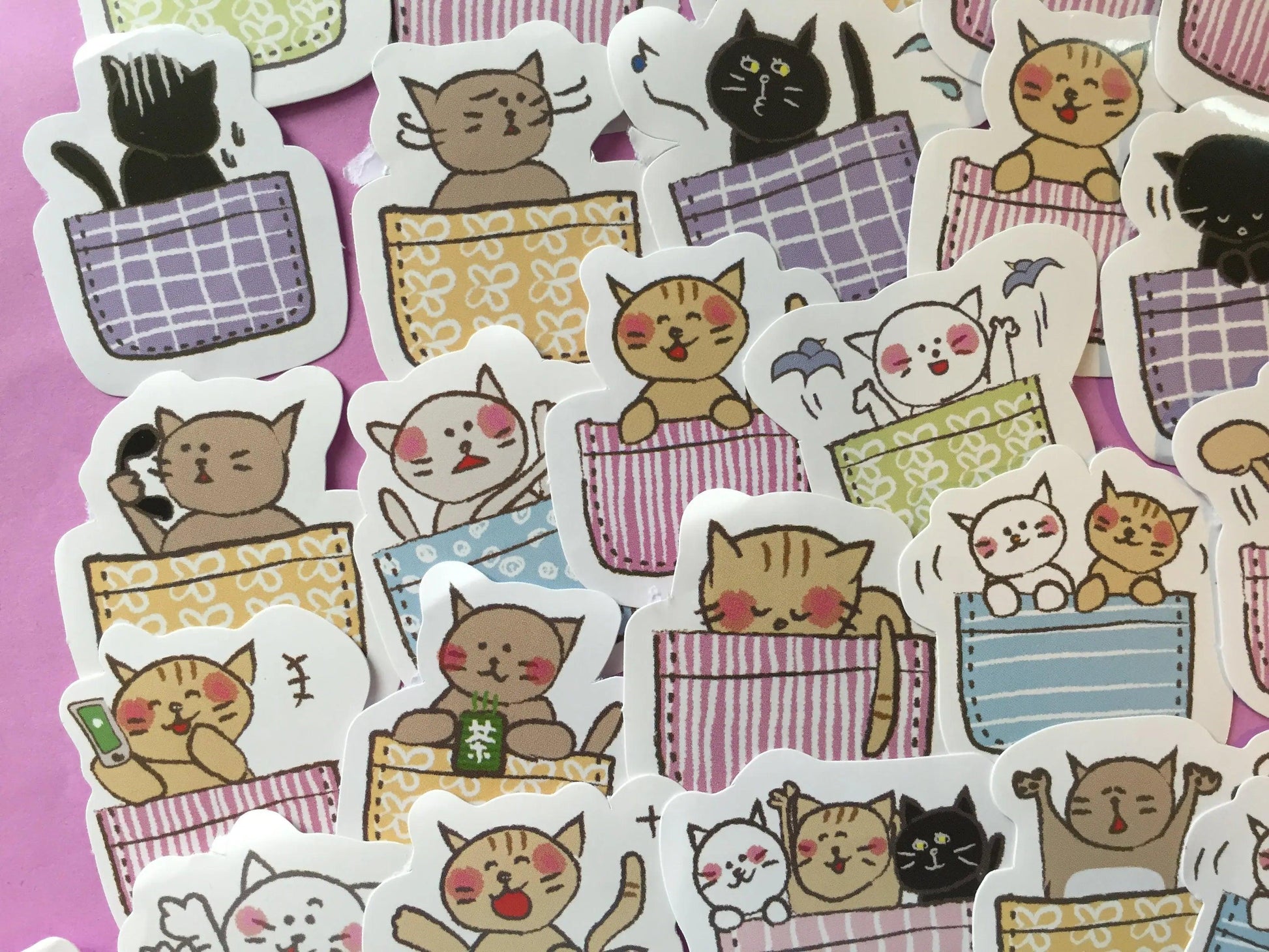 Cat in a Basket Sticker Flakes Box