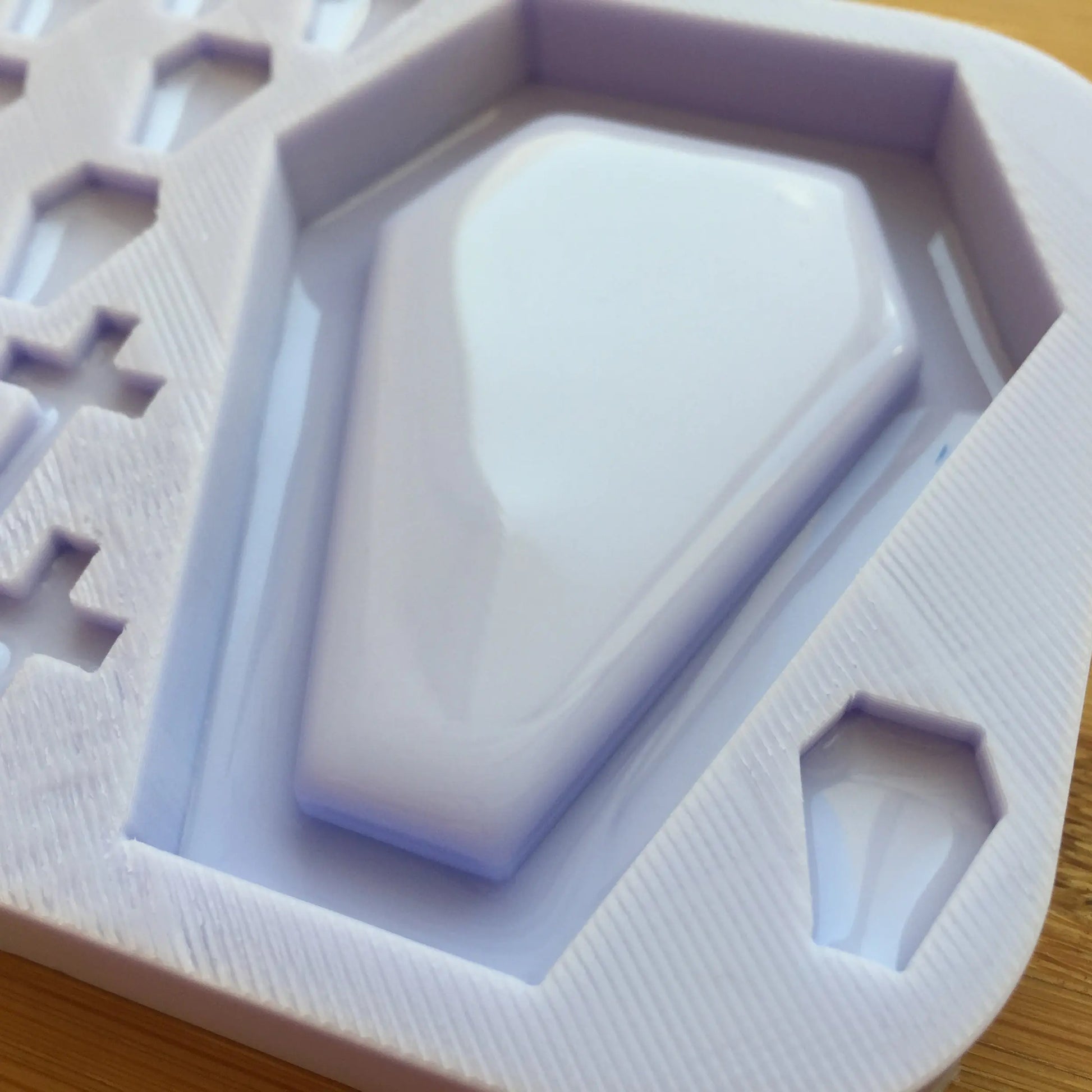 Coffin Shaker with bits Silicone Mold
