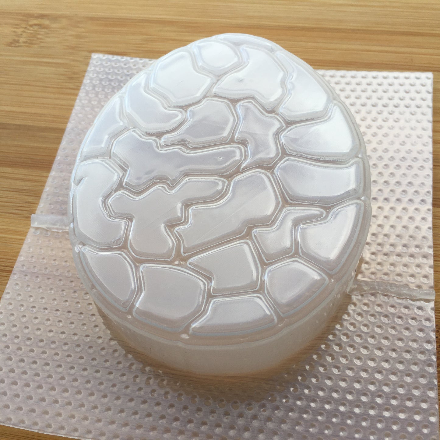 5.6 oz Dragon Egg Plastic Mold - The Crafts and Glitter Shop