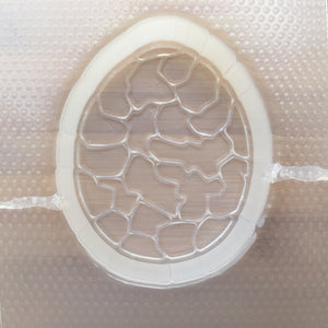 5.6 oz Dragon Egg Plastic Mold