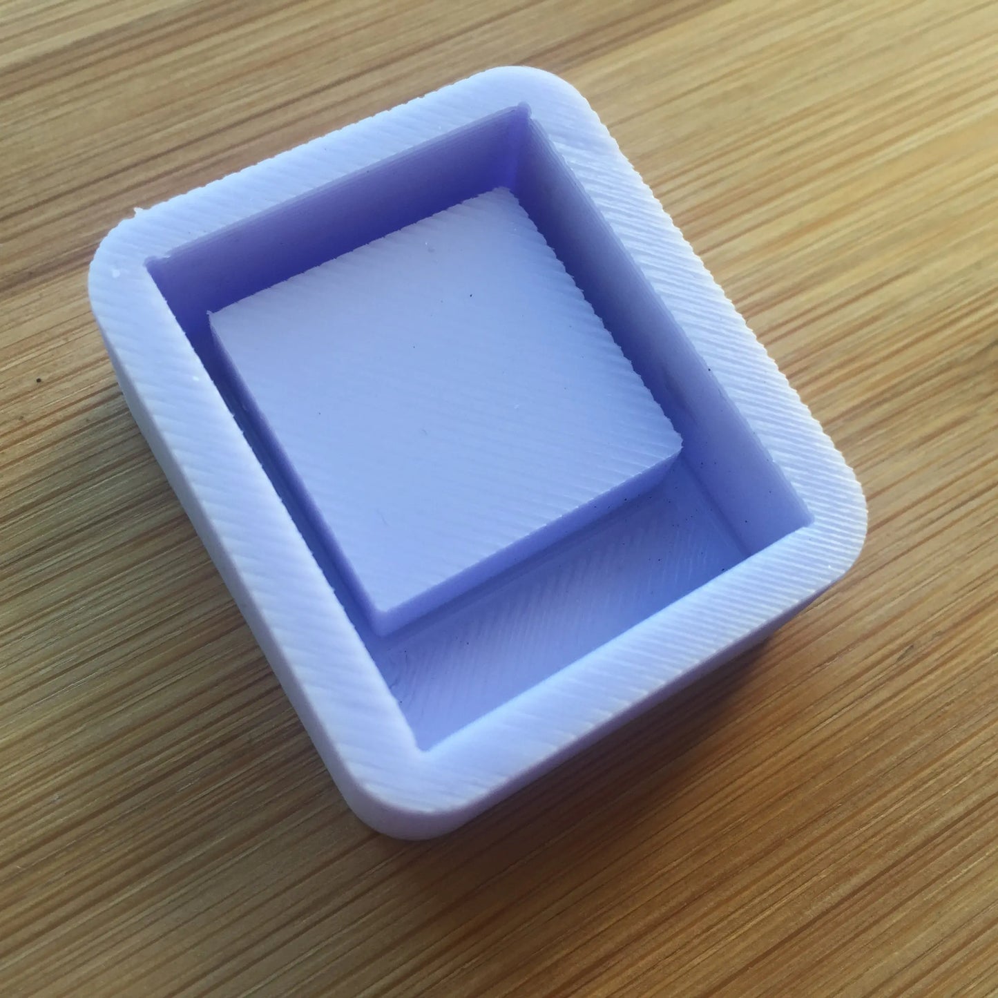 Instant Film Silicone Mold The Crafts and Glitter Shop
