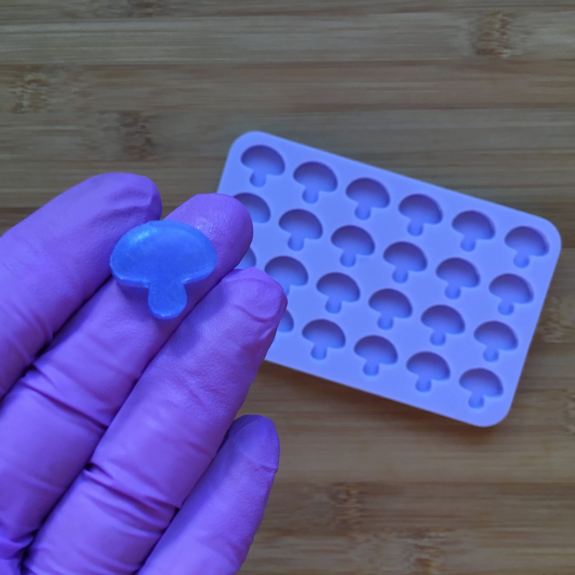 Mushroom Silicone Mold