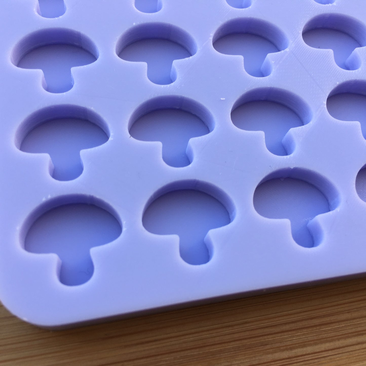 Mushroom Silicone Mold