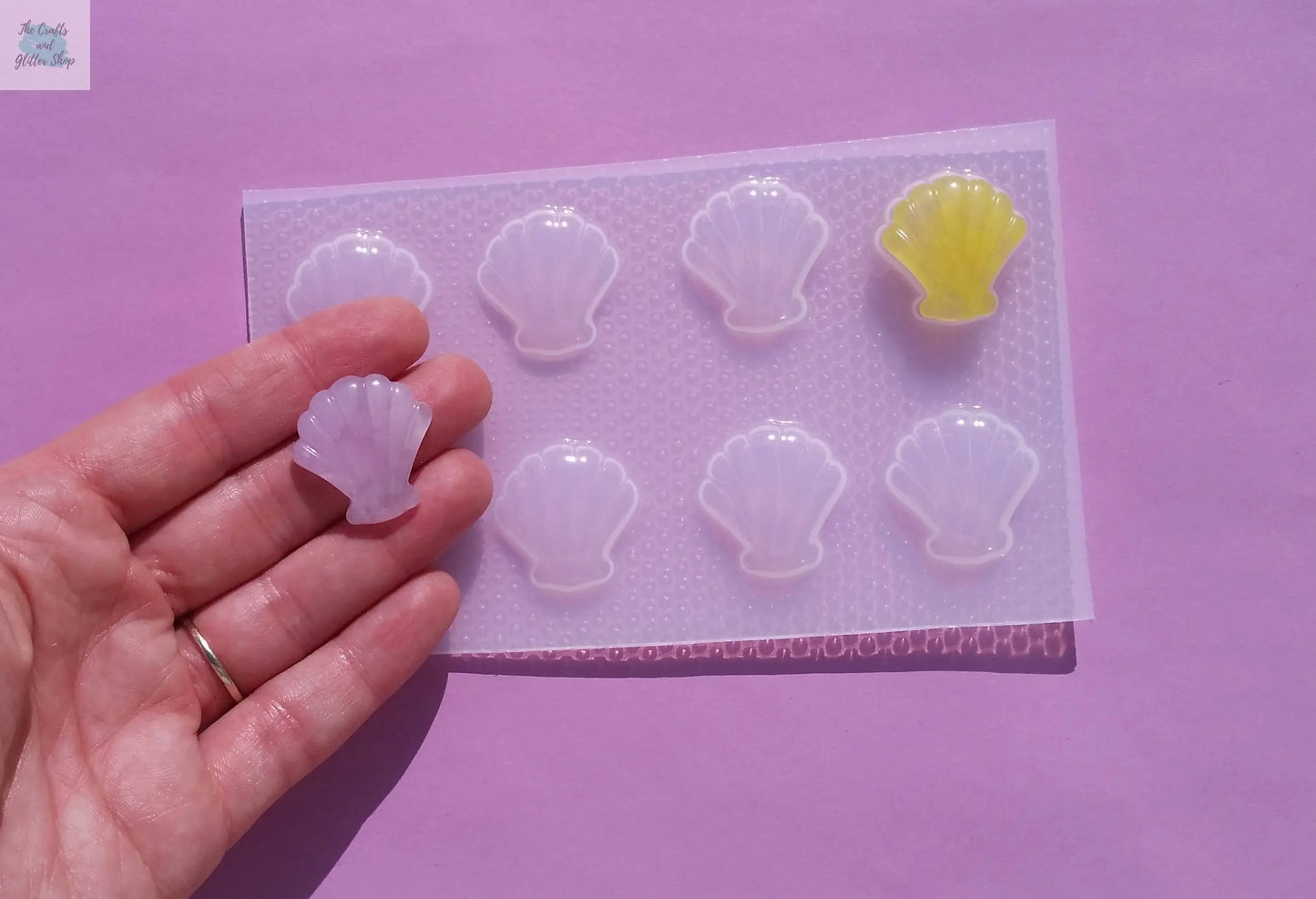 Sea Shell Plastic Mold The Crafts and Glitter Shop