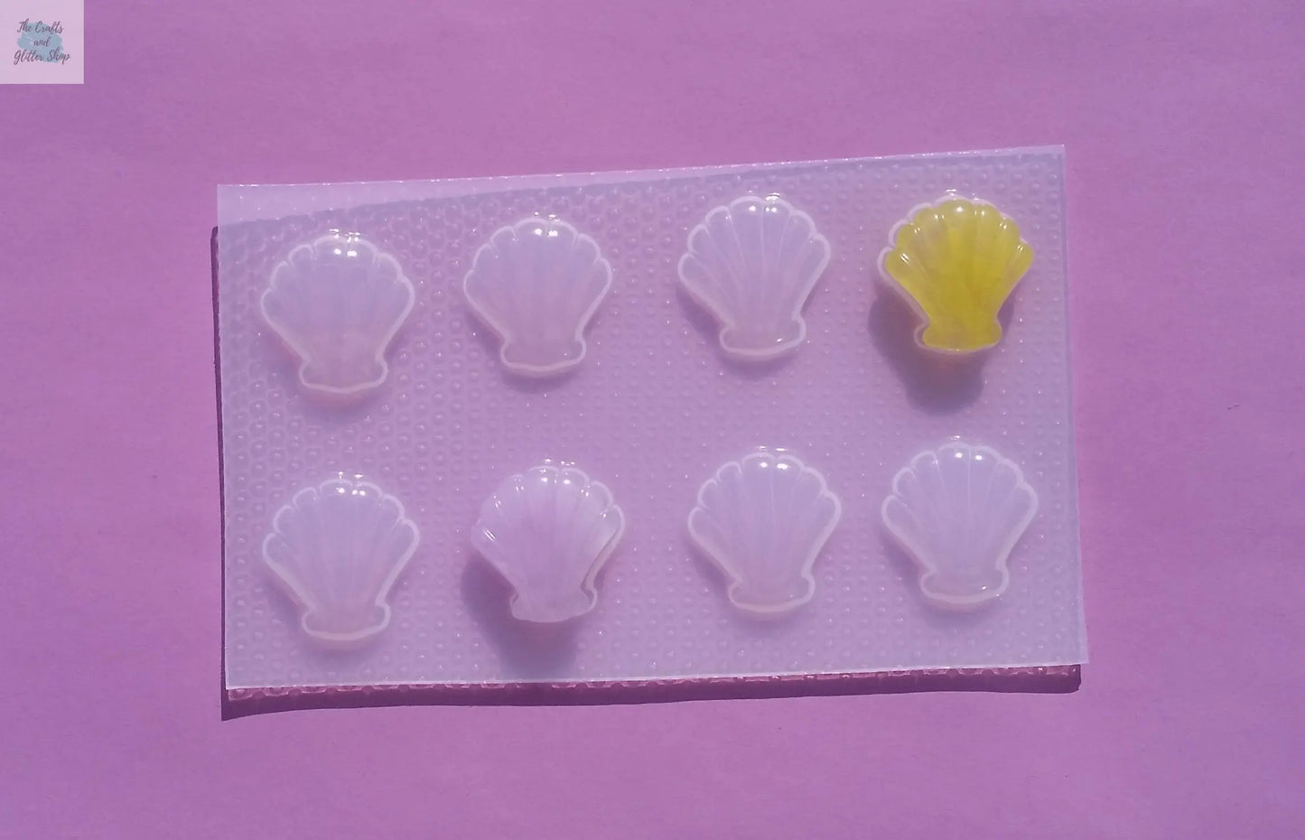 Sea Shell Plastic Mold The Crafts and Glitter Shop