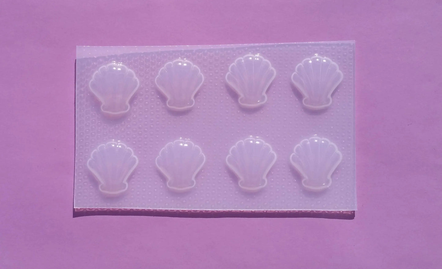 Sea Shell Plastic Mold The Crafts and Glitter Shop